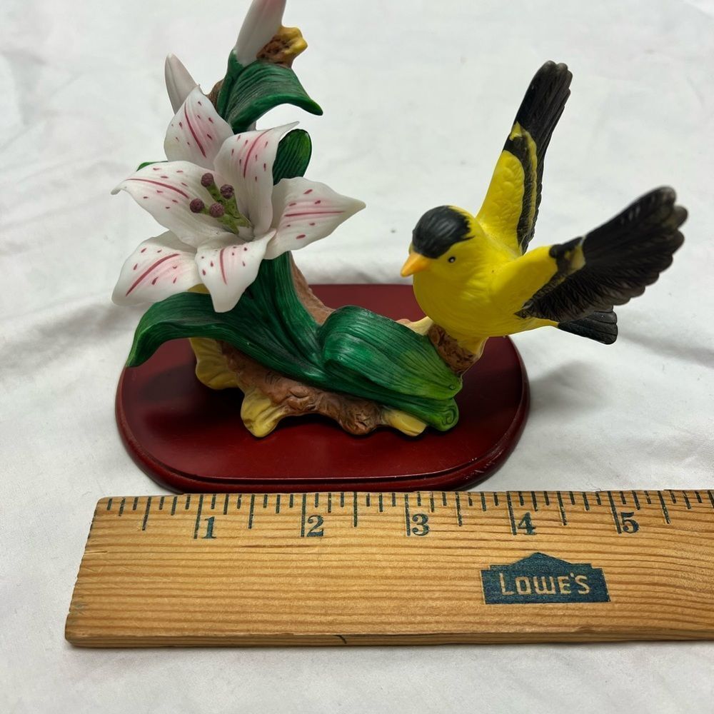 Bird collection - Picture 12 of 16